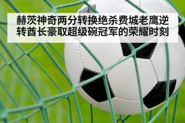 赫茨神奇两分转换绝杀费城老鹰逆转酋长豪取超级碗冠军的荣耀时刻