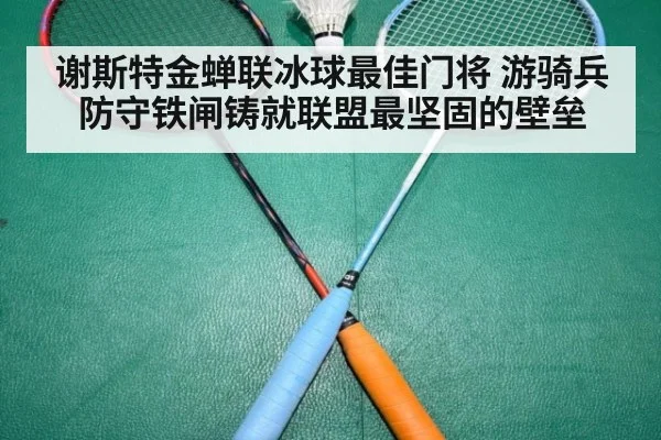 谢斯特金蝉联冰球最佳门将 游骑兵防守铁闸铸就联盟最坚固的壁垒